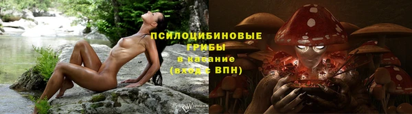 стафф Каменск-Шахтинский