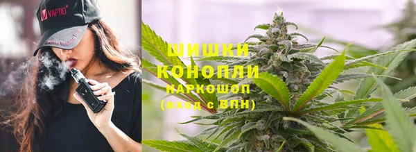 стафф Каменск-Шахтинский