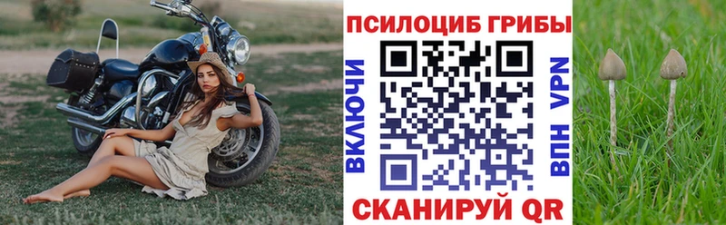 Купить где  Южа  Псилоцибиновые грибы ЛСД 